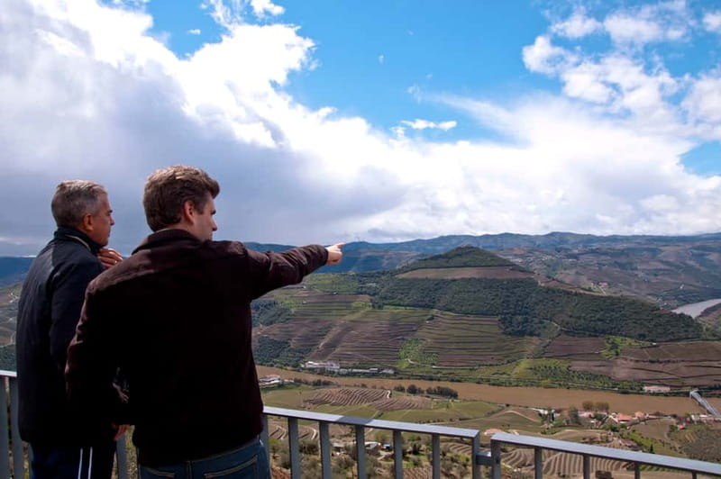Small Group: Douro Valley Wine Tasting from Porto - What $176 Buys You