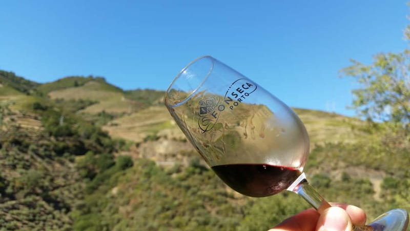 Small Group: Douro Valley Wine Tasting from Porto - Who Should Book This Experience