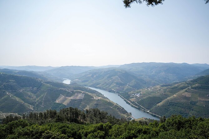 Small Group Douro Valley Wine Tour with Lunch and Cruise - The road back to Porto