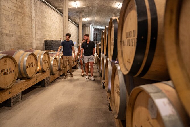 Small Group Douro Valley Wine Tour with Lunch and Cruise - Who should book this Douro Valley tour?