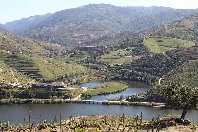 Tour the Douro wine region, and discover the fantastic landscape - São Leonardo de Galafura and the first great view
