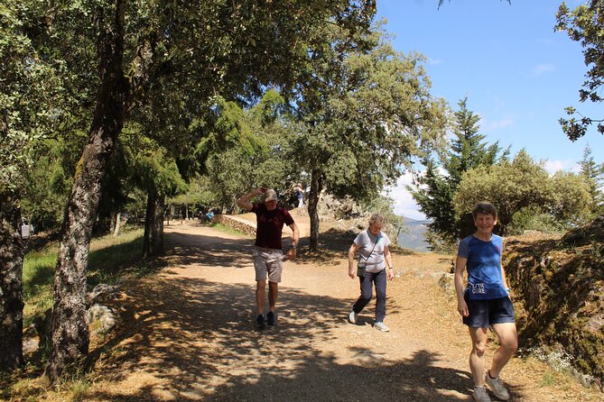 Tour the Douro wine region, and discover the fantastic landscape - Who will get the most from this Douro outing