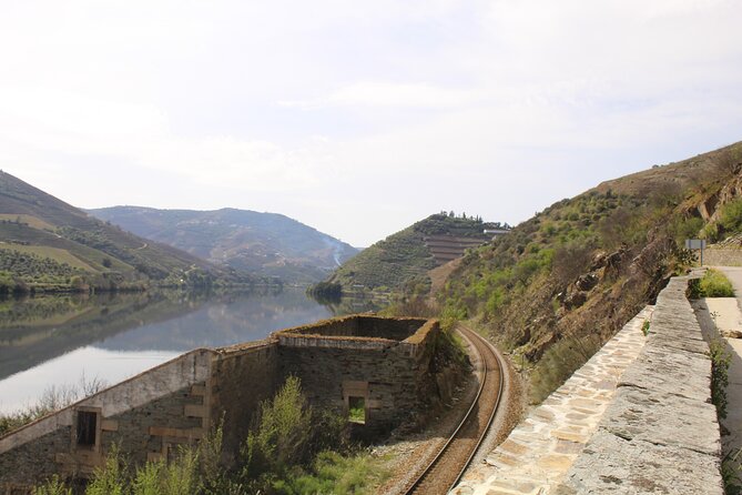 Tour the Douro wine region, and discover the fantastic landscape - Should you book this private Douro tour?