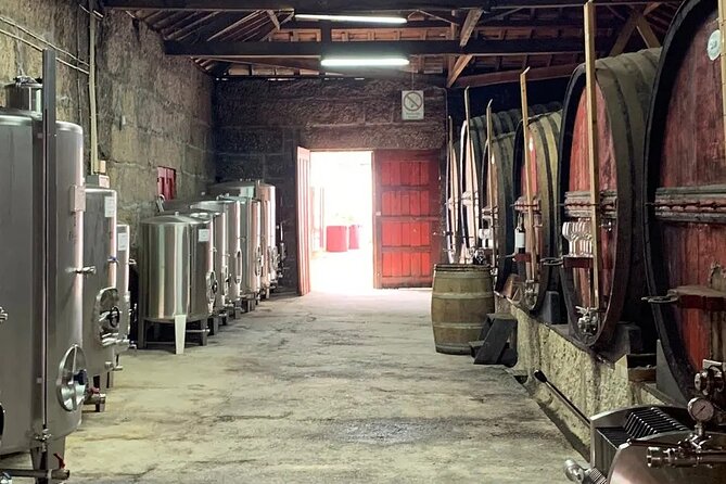 VALE DOURO, Premium Wine Tour, Wine Lunch, Private Boat - First winery: traditional production and serious tasting