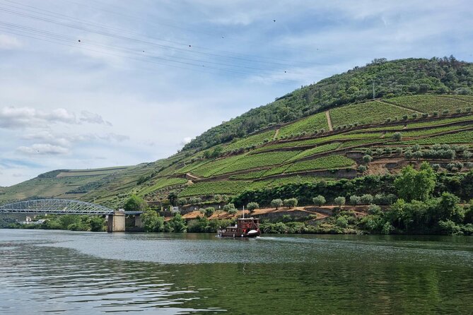 VALE DOURO, Premium Wine Tour, Wine Lunch, Private Boat - The N222 and the valley viewpoints