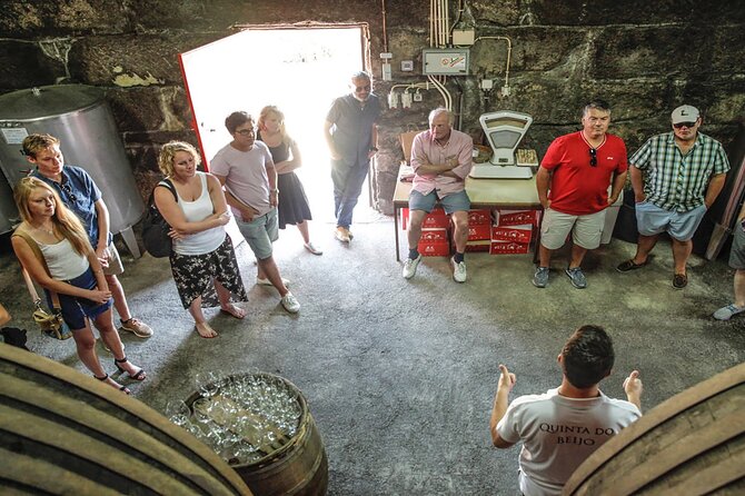 VALE DOURO, Premium Wine Tour, Wine Lunch, Private Boat - What the small group changes