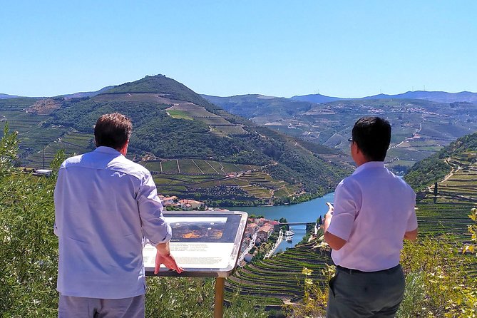 Wine Venture and Boat Trip in Douro Valley from Porto - Peso da Régua, the long lunch, and the second tasting