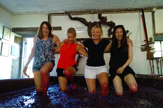 Wine Venture and Boat Trip in Douro Valley from Porto - What the small group changes